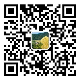 双彩网下载